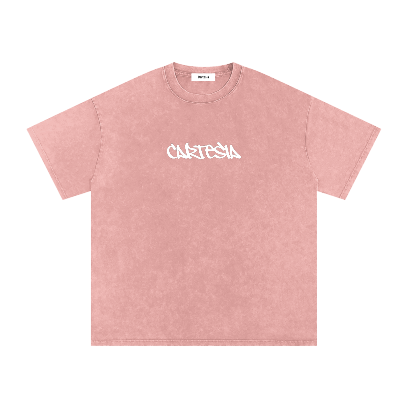 Cartesia Oversized Tee