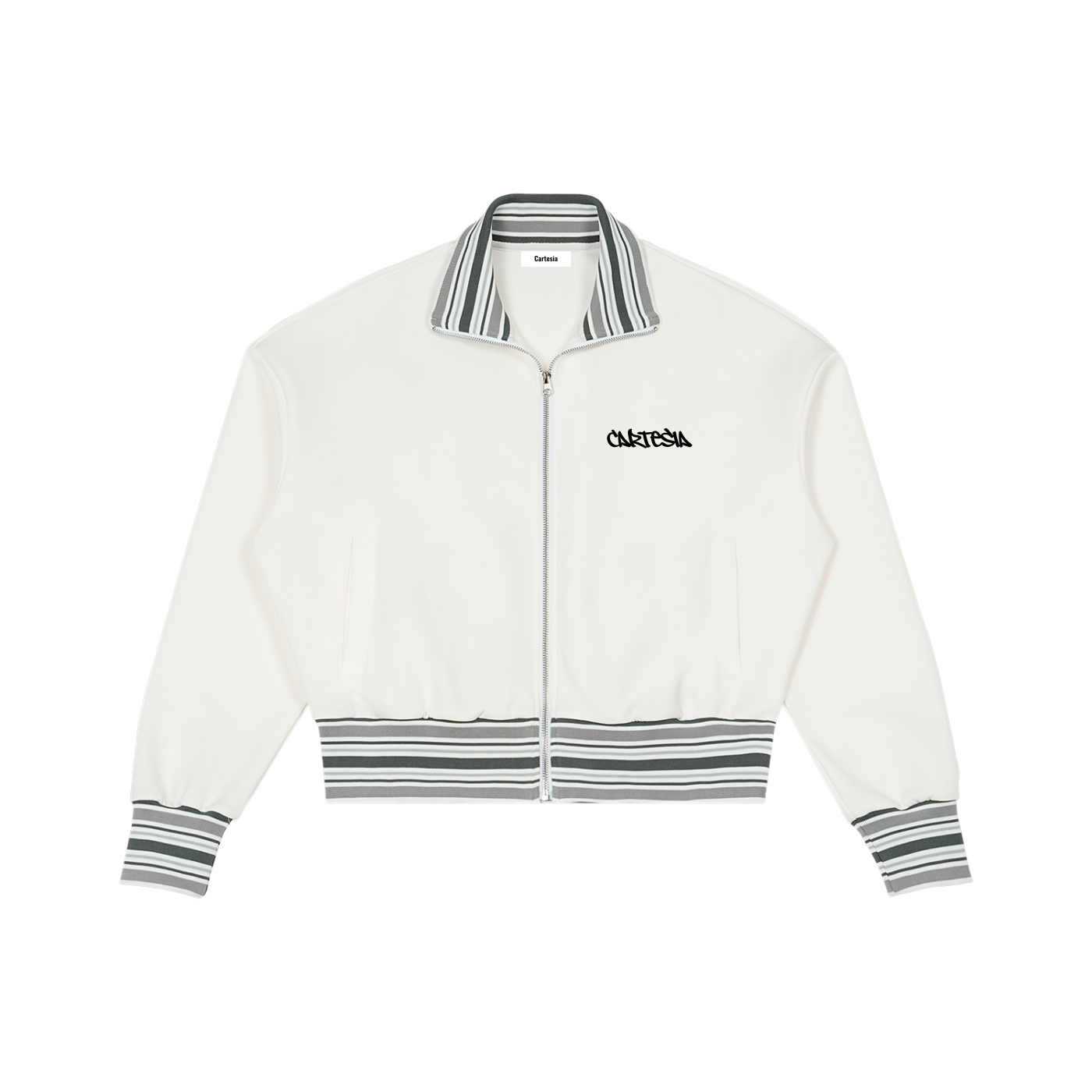 Cartesia Striped Collar Zip Jacket