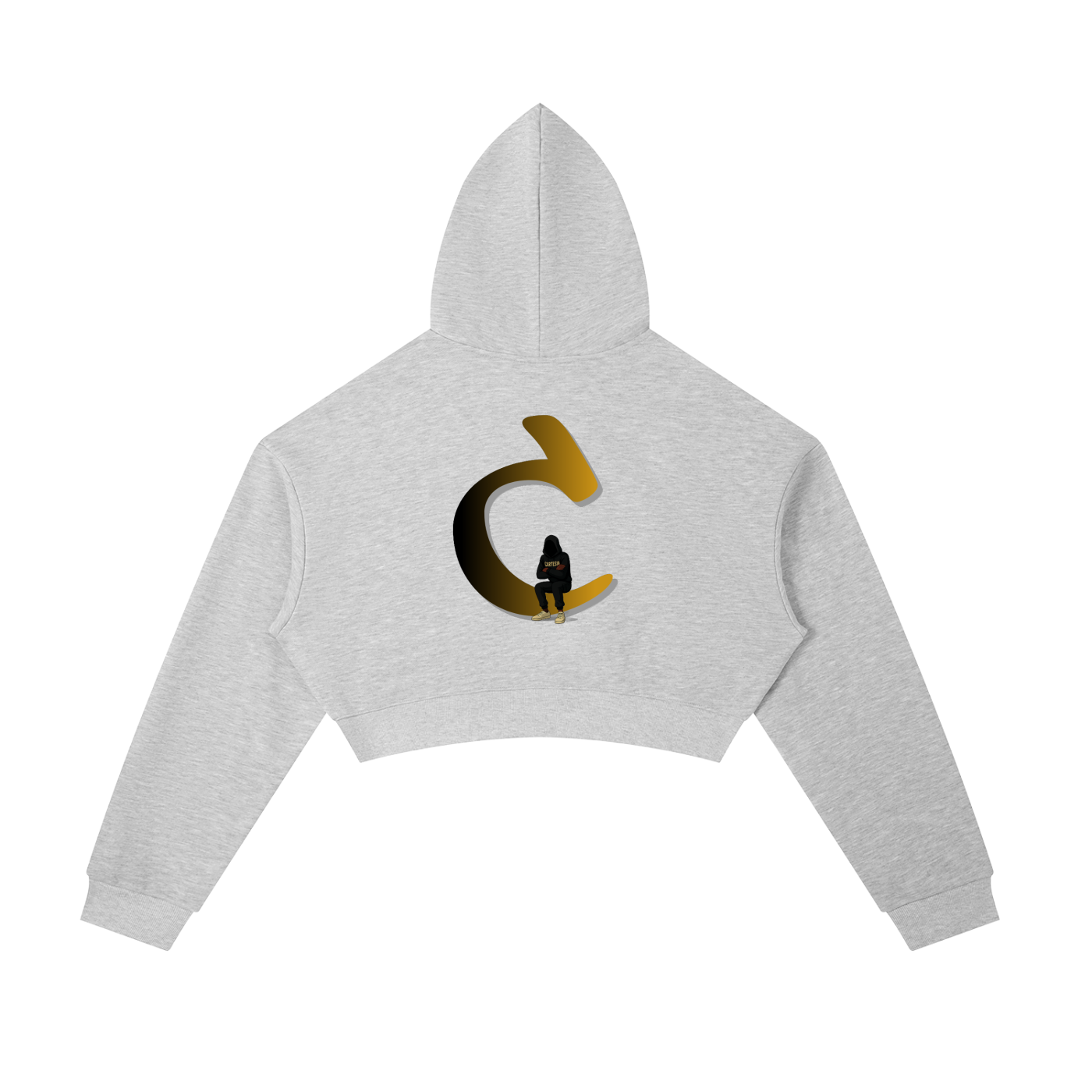 Cartesia Cropped Zip-Up Hoodie