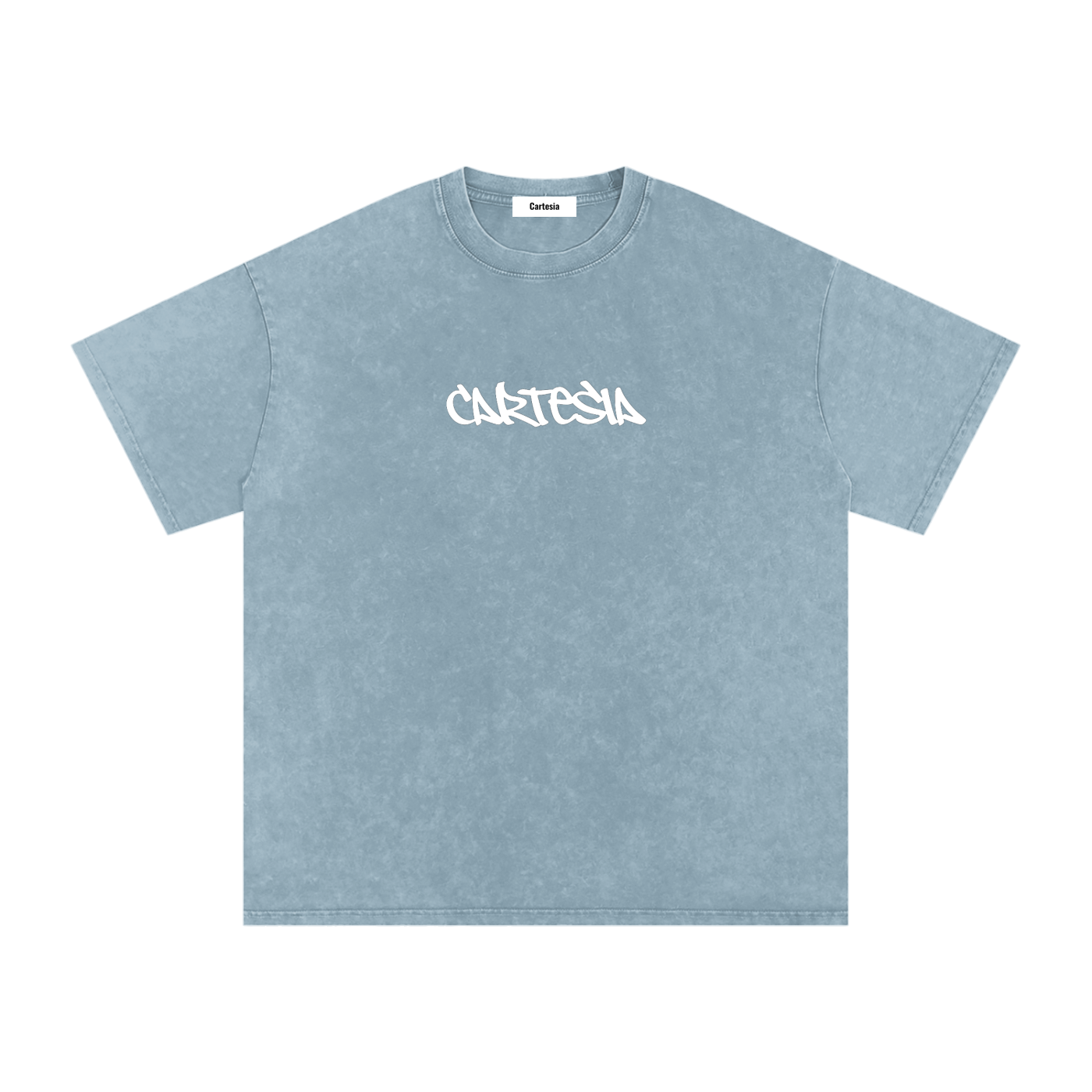 Cartesia Oversized Tee