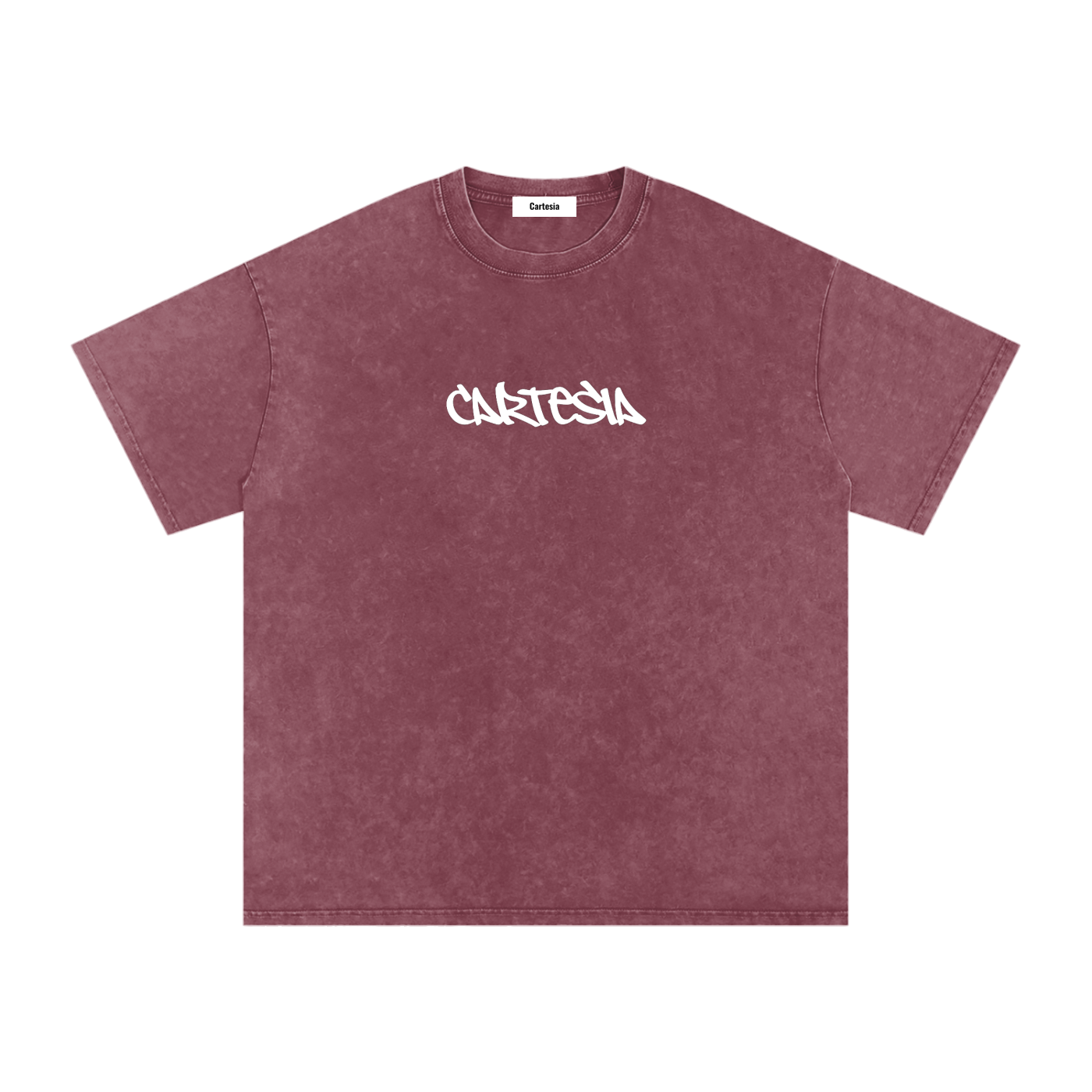 Cartesia Oversized Tee