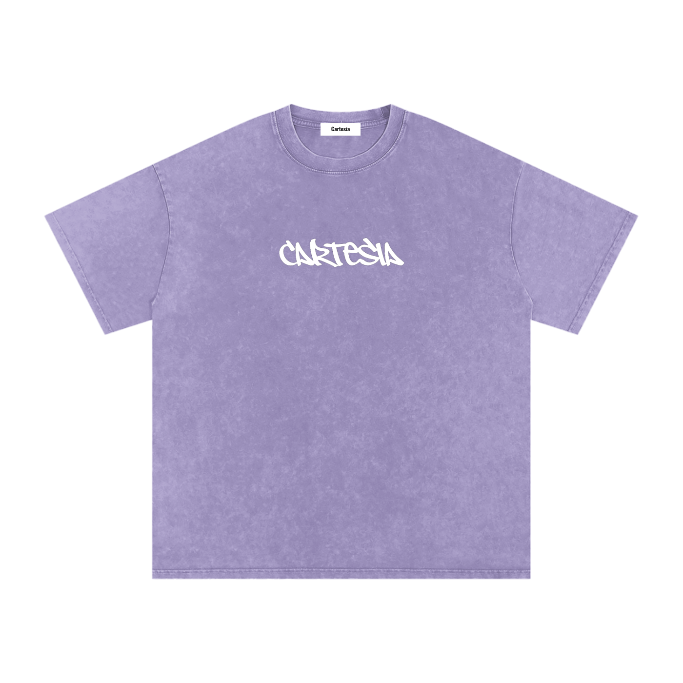 Cartesia Oversized Tee